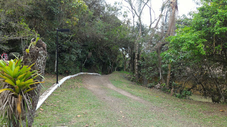 Parque Natural Municipal da Caieira, Τζόινσβιλ