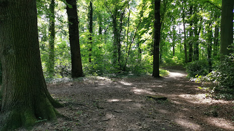 Forest Wijckerslooth, Rijnsburg