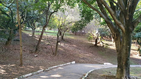 Parque Ecológico Dionísio Alvarez Mateos, Осаску