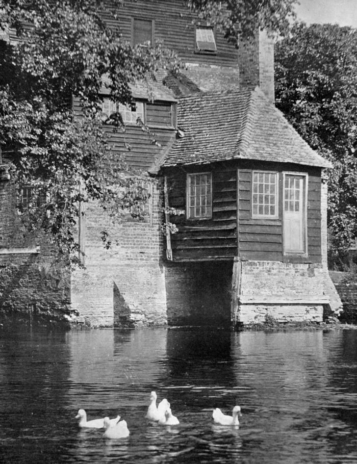 National Trust - Houghton Mill and Waterclose Meadows, 