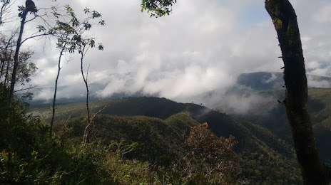 Biological Reserve of the Dark Forest, Almenara