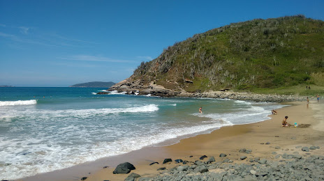 Praia José Gonçalves, 