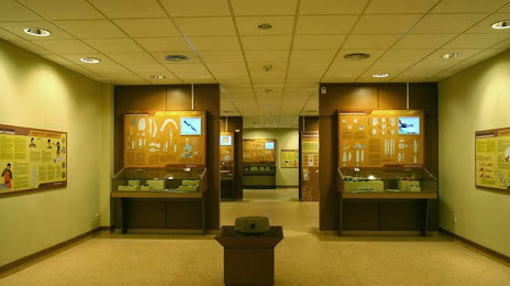 Museo de Prehistoria e Arqueoloxía de Vilalba, 