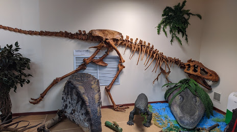 Paleontological Museum, Kotelnich