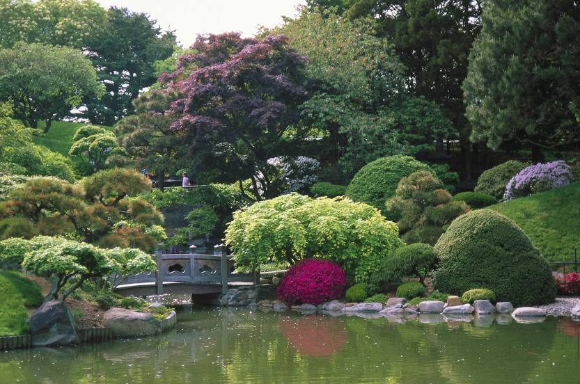 Japanese Hill-and-Pond Garden, BBG, 
