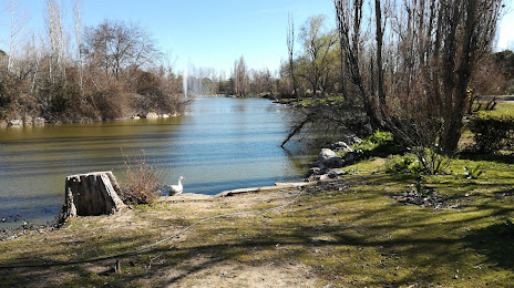 The park Soto Mostoles, Navalcarnero
