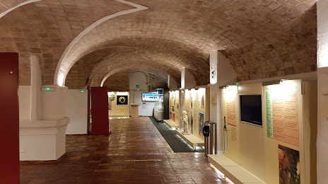 Museo del vino, Bullas