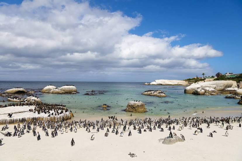 Cape of Good Hope, Cape Town
