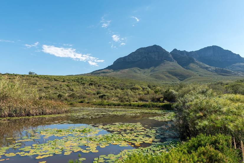 Helderberg Nature Reserve, Ciudad del Cabo