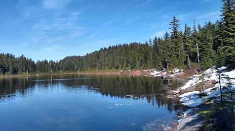 Munro Lake, Coquitlam
