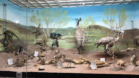 Neyshabour Wildlife Museum, 