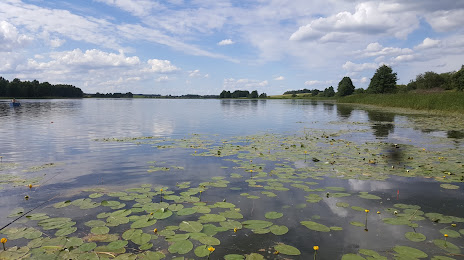 Paezeriu Ezeras, Kuršėnai