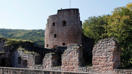 Schloss- und Festungsruine Hardenburg, 