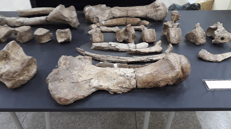 Museu de Arqueologia e Paleontologia, Teresina