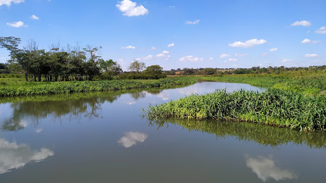 Mini Pantanal, Paulinia