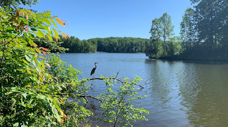 Clopper Lake, North Potomac