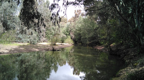 Corredor Verde del Río Guadiamar, 