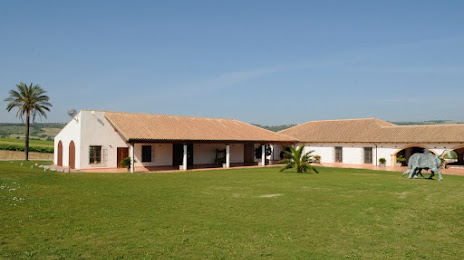 Huerta de Albalá, Villamartín