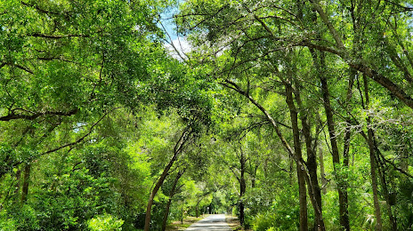 Upper Tampa Bay Trail, Greater Northdale