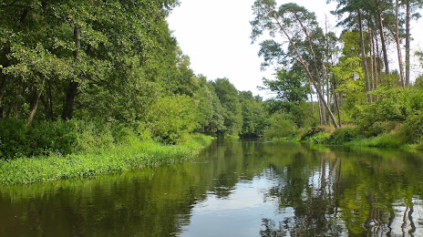 Rezerwat Rzeka Drwęca, 