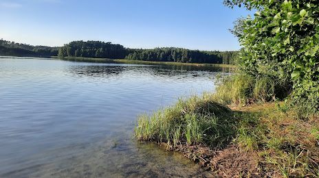 Jezioro Okonin, Golub-Dobrzyń