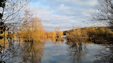 Stocker's Lake Nature Reserve, Amersham
