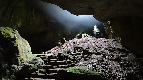 Unicorn Cave, Bad Lauterberg