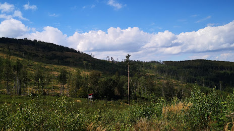 Opawskie Mountains Landscape Park, Głuchołazy
