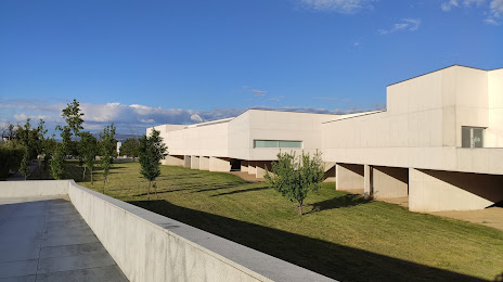 Museu de Arte Contemporânea Nadir Afonso, Chaves