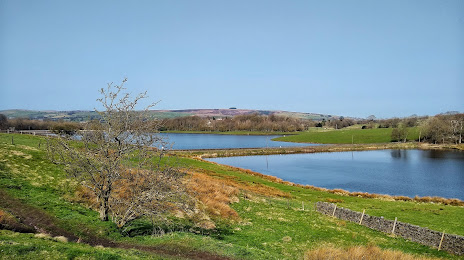 Foulridge Upper Reservoir, Nelson