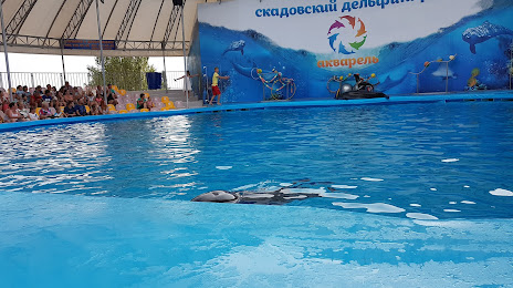 Дельфинарий, Скадовск