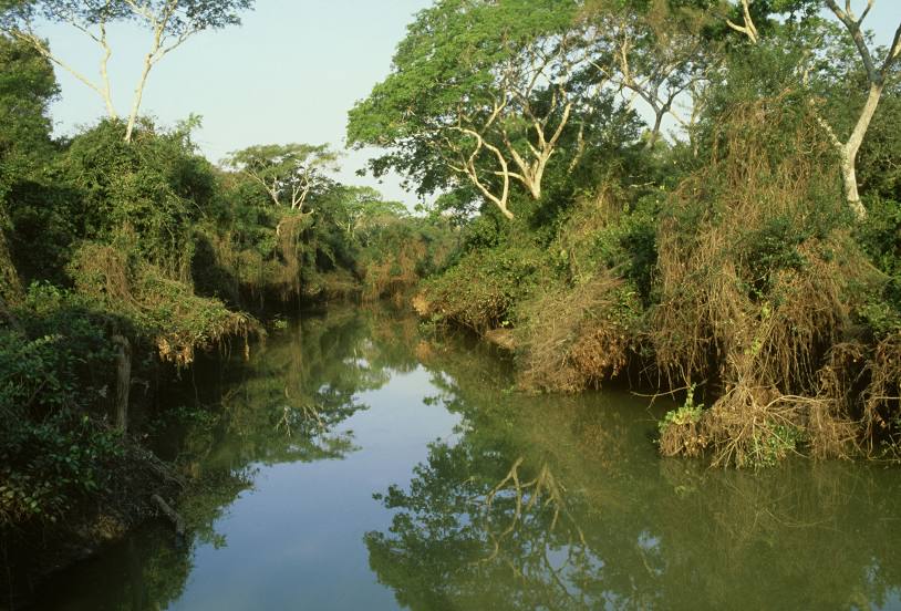 Pantanal Matogrossense National Park, 