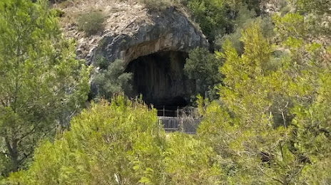 La Cova Negra, Canals