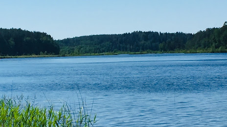 озеро Омчино, Luga