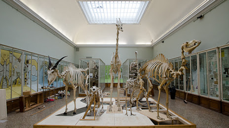 Musée cantonal de zoologie - Lausanne, 