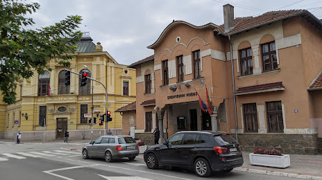 Regional Museum Jagodina, Jagodina