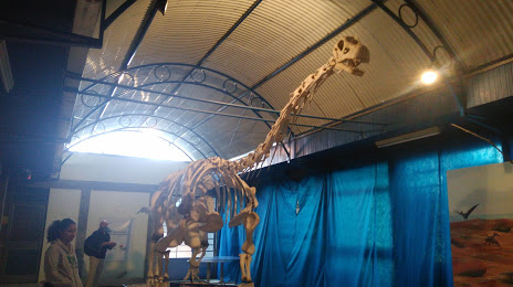 CENPALEO - Centro Paleontológico da Universidade do Contestado - Museu da Terra e da Vida, Mafra