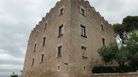 Castillo de la Torre de Claramunt, Igualada
