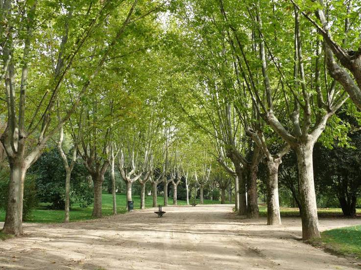 Parque del Oeste, Madrid