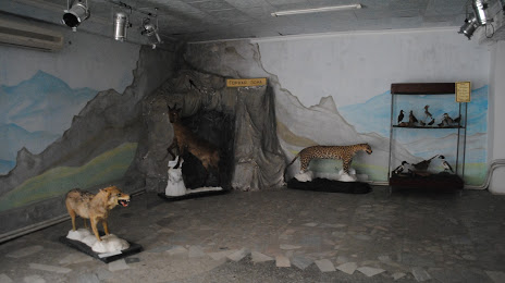 Музей Природа Прикаспия, Дербент