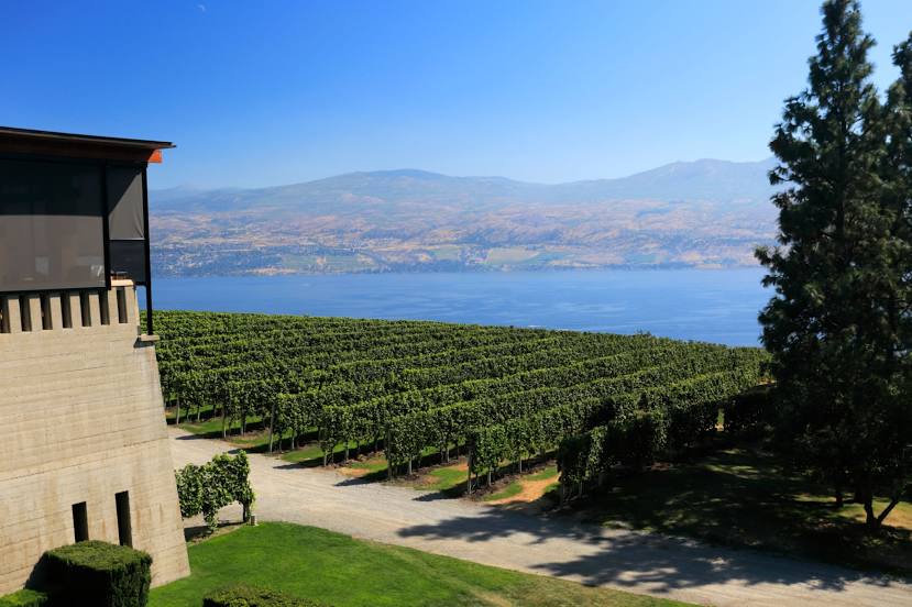 Mission Hill Family Estate Winery, كيلونا