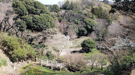 Kamakura Central Park, 
