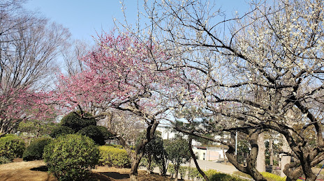 Kitanarashino Neighboring Park, 