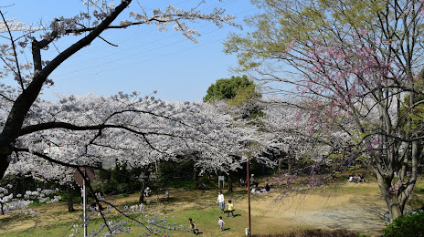 Takanedai Sakura Park, 
