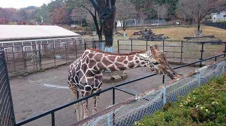 Morioka Zoological Park, 모리오카 시