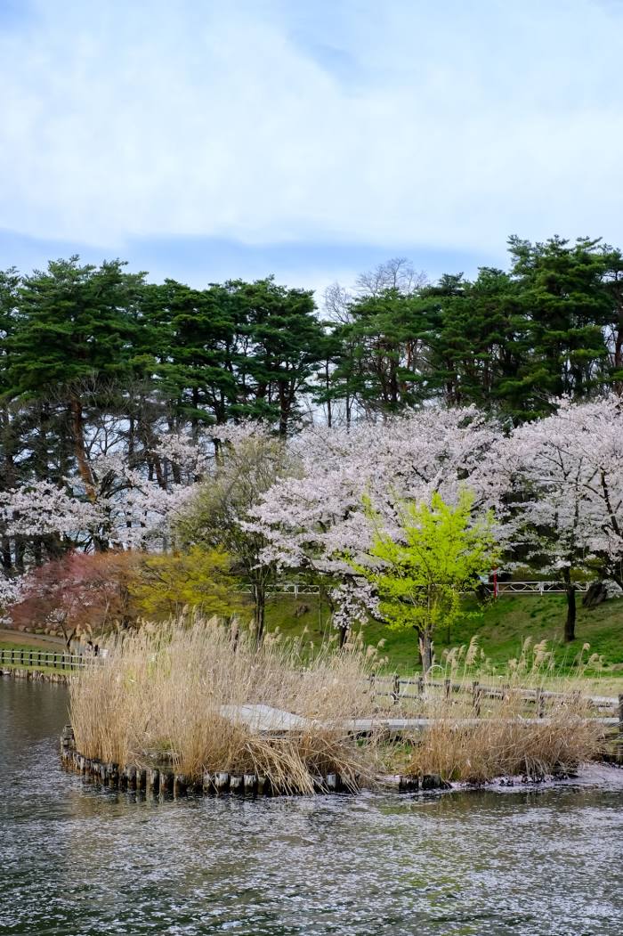 Takamatsu Pond, 