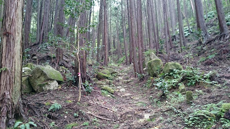 Site of Kozutsumi Shiroyama Castle, 