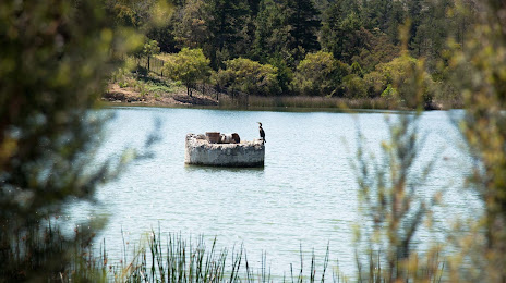 Frankston Nature Conservation Reserve, Frankston