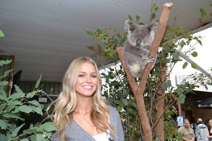 WILD LIFE Sydney Zoo, 