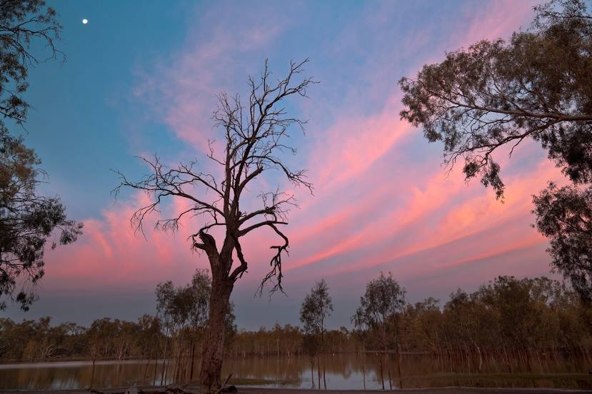 Australian Inland Botanic Gardens, Mildura